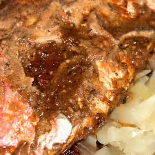 Snapper.